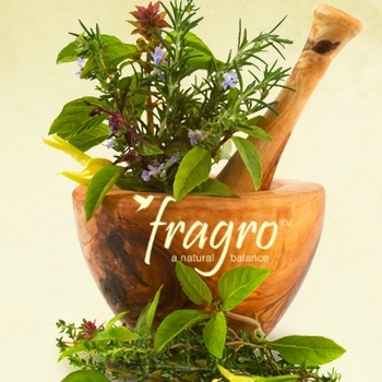 Orange Pot - Fragro® Herbs