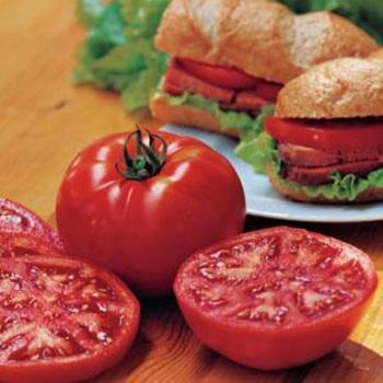 Tomato Steak Sandwich - Steak Sandwich Tomato