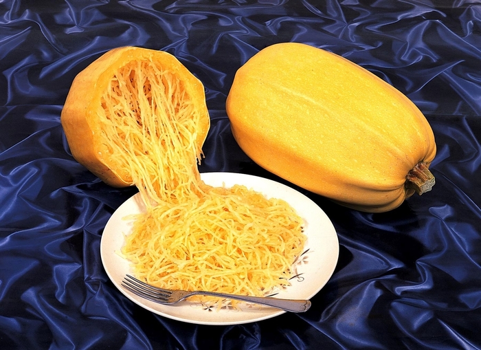 Vegetable Spaghetti - Spaghetti Squash from The Flower Spot