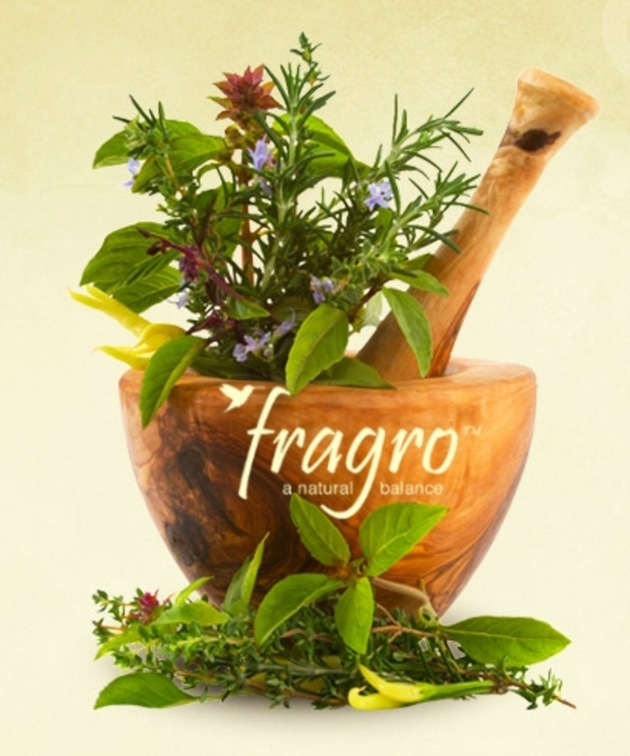 Fragro® LAVENDER - Orange Pot from The Flower Spot