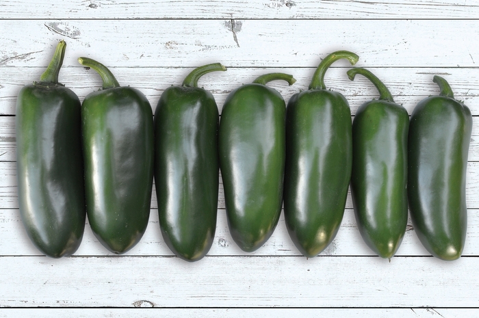 Pepper 'Emerald Fire' - Hot Pepper from The Flower Spot