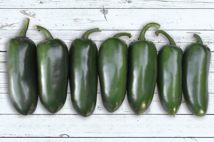 Jalapeno Pepper - Capsicum annuum ‘Emerald Fire F1’ from The Flower Spot