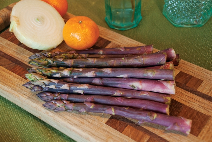 'Purple Passion' - Asparagus officinalis from The Flower Spot