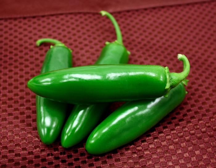 Pepper 'Spicy Slice' - Hot Pepper from The Flower Spot Pepper 'Spicy Slice' - Hot Pepper from The Flower Spot