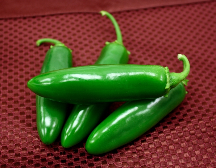 Pepper - Capsicum annuum 'Spicy Slice' from The Flower Spot