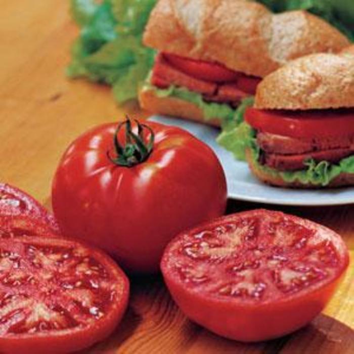 Tomato 'Steak Sandwich' - Slicer Tomato from The Flower Spot Tomato 'Steak Sandwich' - Slicer Tomato from The Flower Spot