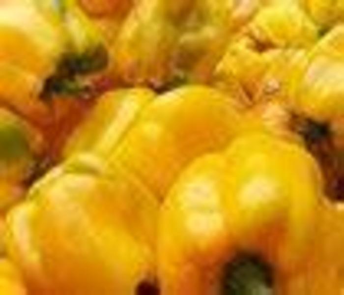 Pepper Golden California Wonder - Golden California Wonder Pepper Pepper Golden California Wonder - Golden California Wonder Pepper