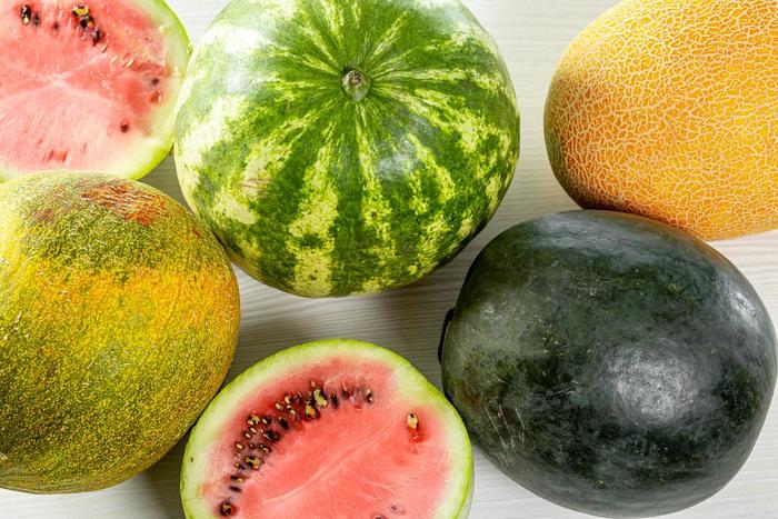 Melons - Assorted Melon Varieties from The Flower Spot Melons - Assorted Melon Varieties from The Flower Spot