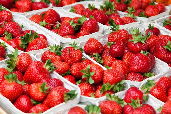 6 Pack Strawberry - Strawberry from The Flower Spot 6 Pack Strawberry - Strawberry from The Flower Spot