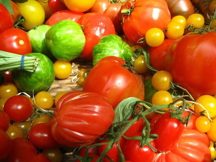 Tomatoes - Many Varieties from The Flower Spot