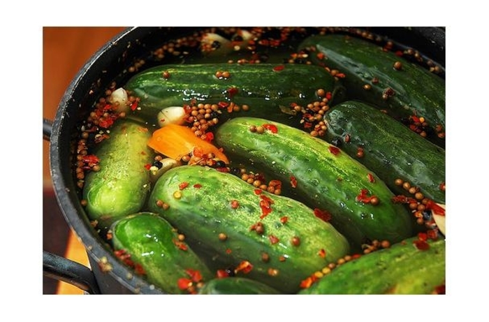 Cucumber 'Homemade Pickles' - Cucumber Sativus from The Flower Spot