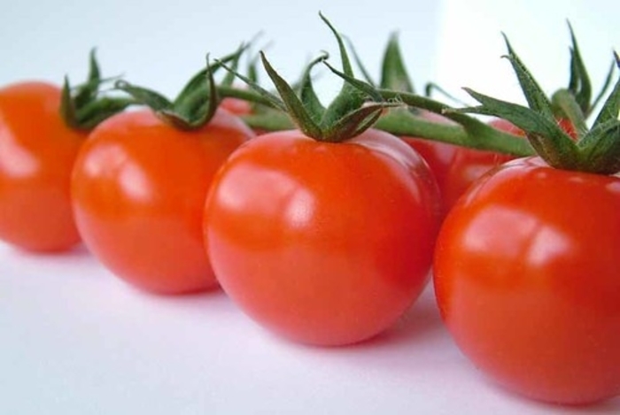 Tomato 'Supersonic' - Slicer Tomato from The Flower Spot Tomato 'Supersonic' - Slicer Tomato from The Flower Spot