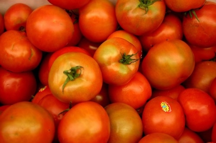 Tomato 'Husky Red' - Slicer Tomato from The Flower Spot Tomato 'Husky Red' - Slicer Tomato from The Flower Spot