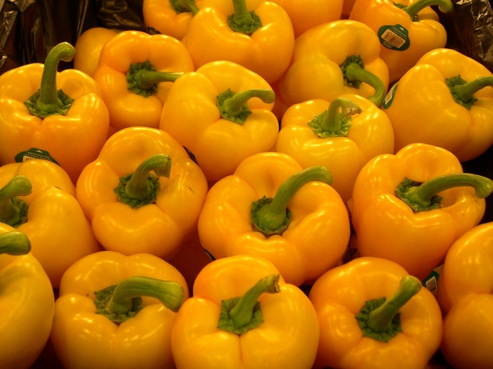 Pepper 'Flavorburst' - Sweet Bell Pepper from The Flower Spot