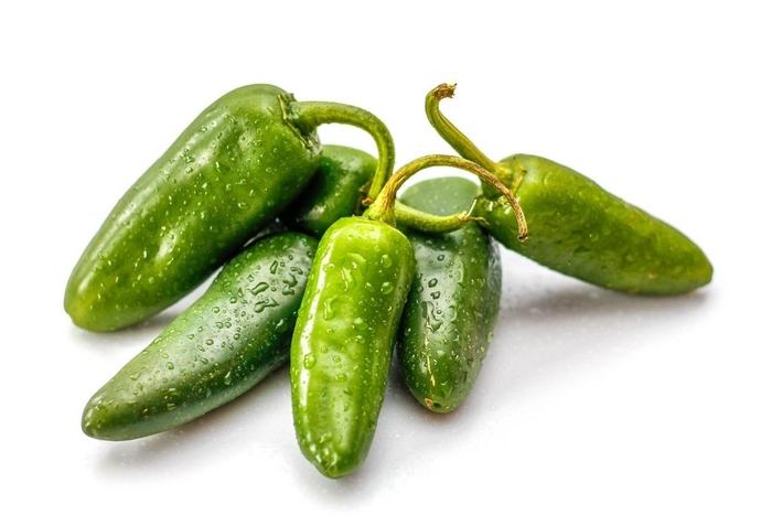 Pepper 'Big Guy' - Hot Pepper from The Flower Spot
