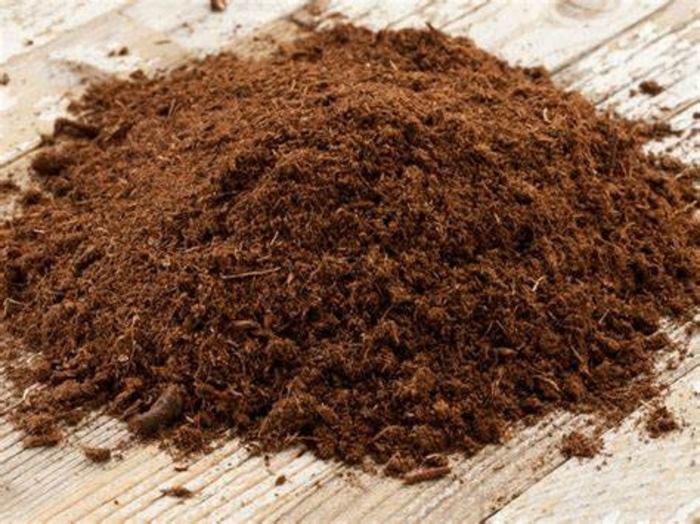 Peat Moss - from The Flower Spot Peat Moss - from The Flower Spot