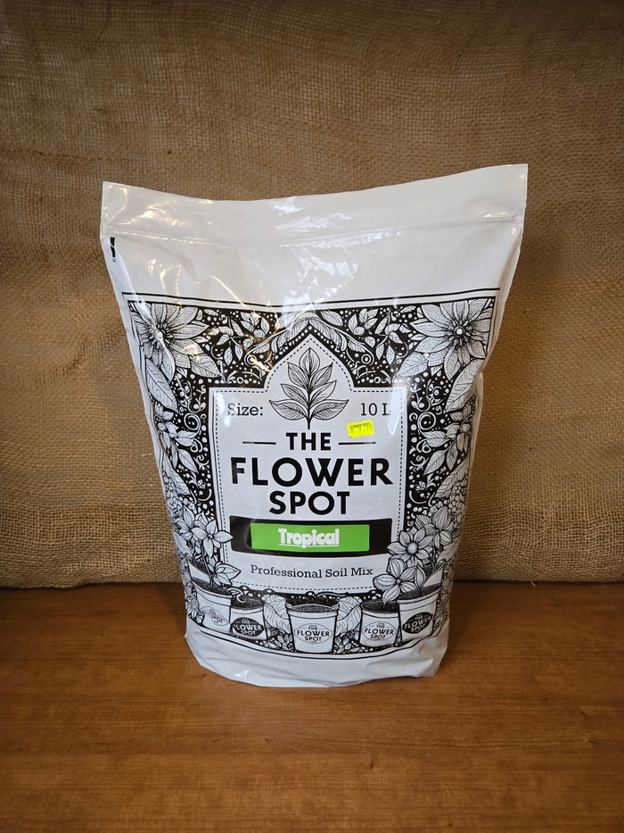 Tropical Plant Mix - Flower Spot from The Flower Spot