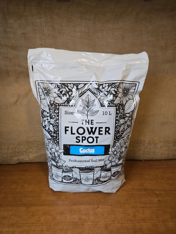 Cactus Mix - Flower Spot from The Flower Spot Cactus Mix - Flower Spot from The Flower Spot