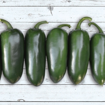 Hot Pepper - Pepper 'Emerald Fire'