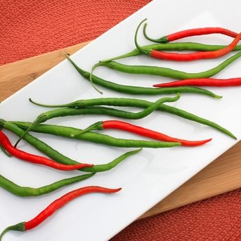 Capsicum annuum 'Gong Bao' - Pepper