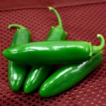 Hot Pepper - Pepper 'Spicy Slice'