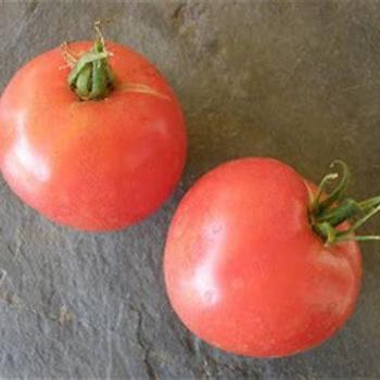 Heirloom Tomato - Tomato 'Oxheart Red'