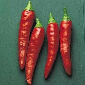 Hot Pepper - Pepper 'Super Chili'