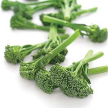 Baby Aspabroc Broccoli - Broccoli Baby Aspabroc