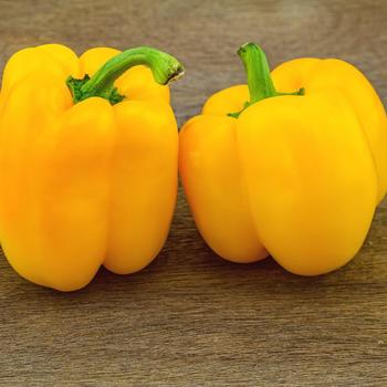 Capsicum annuum - 'Golden California Wonder'