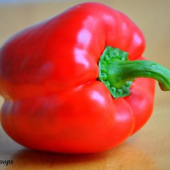 Hot Pepper - Pepper 'Red Skin'