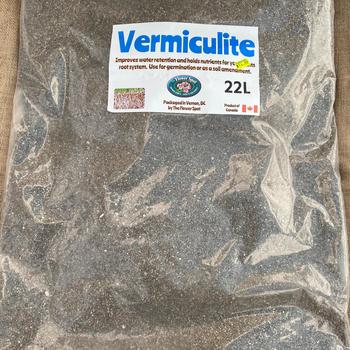 Large - Vermiculite 