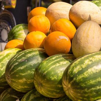 Assorted Melon Varieties - Melons