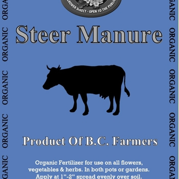 Manure - Steer Manure