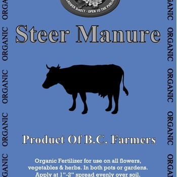 Flower Spot - Steer Manure