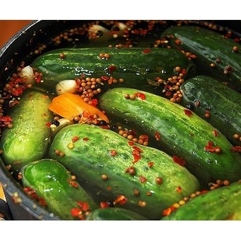 Cucumis sativus - Cucumber 'Homemade Pickles'