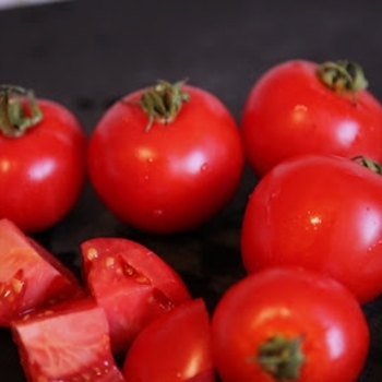 Slicer Tomato - Tomato 'Fourth of July'