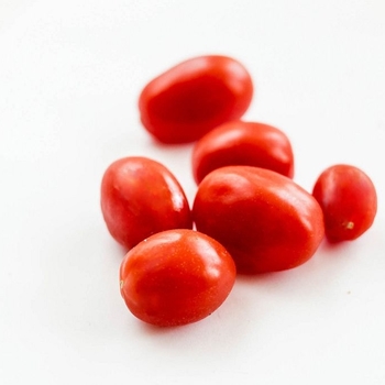 Sauce Tomato - Tomato 'La Roma III'