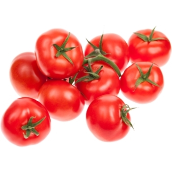 Cherry Tomato - Tomato 'Tiny Tim'