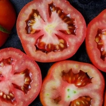 Slicer Tomato - Tomato 'Ultrasonic'