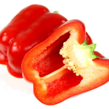 Sweet Bell Pepper - Pepper 'Big Bertha' 