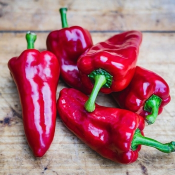 Hot Pepper - Pepper 'Corno Di Toro Rosso'