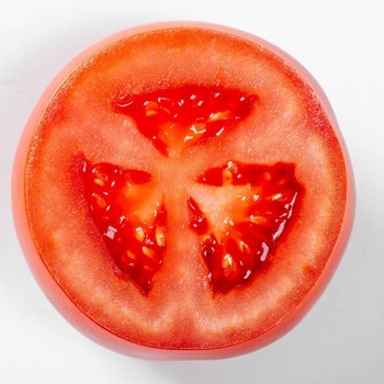 Slicer Tomato - Tomato 'Bush Early Girl'