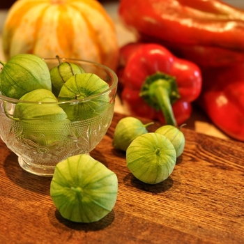 Physalis philadelphica - Tomatillo 'Grande Rio Verde' 