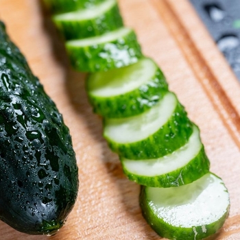 Cucumis sativus - Cucumber 'Burpless Supreme'
