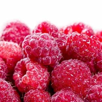 Rubus idaeus var. strigosus - Raspberry 'Willamette'