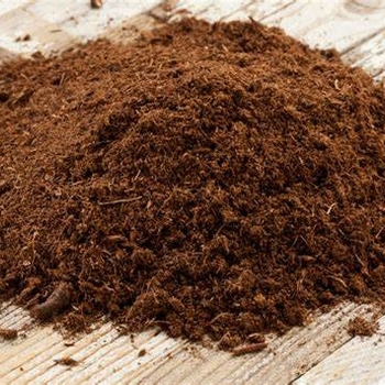  - Peat Moss