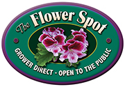 The Flower Spot